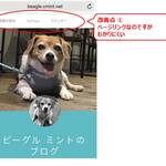Thumbnail of post image 168